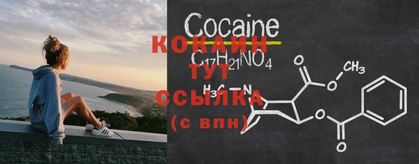 дживик Кулебаки