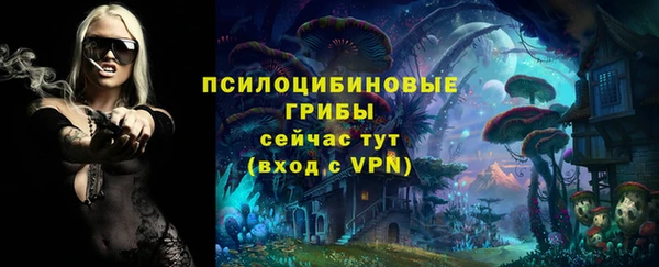 дживик Кулебаки