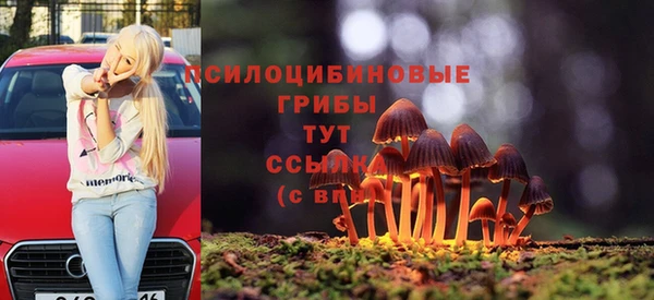 дживик Кулебаки